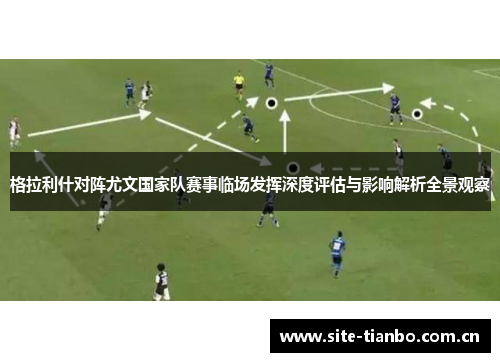 格拉利什对阵尤文国家队赛事临场发挥深度评估与影响解析全景观察