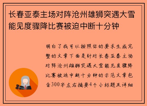 长春亚泰主场对阵沧州雄狮突遇大雪能见度骤降比赛被迫中断十分钟